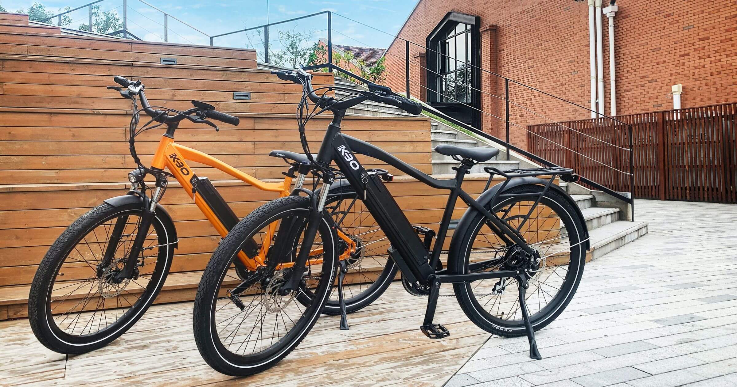 Market for Electric Bicycles in the European Union 2019-2020